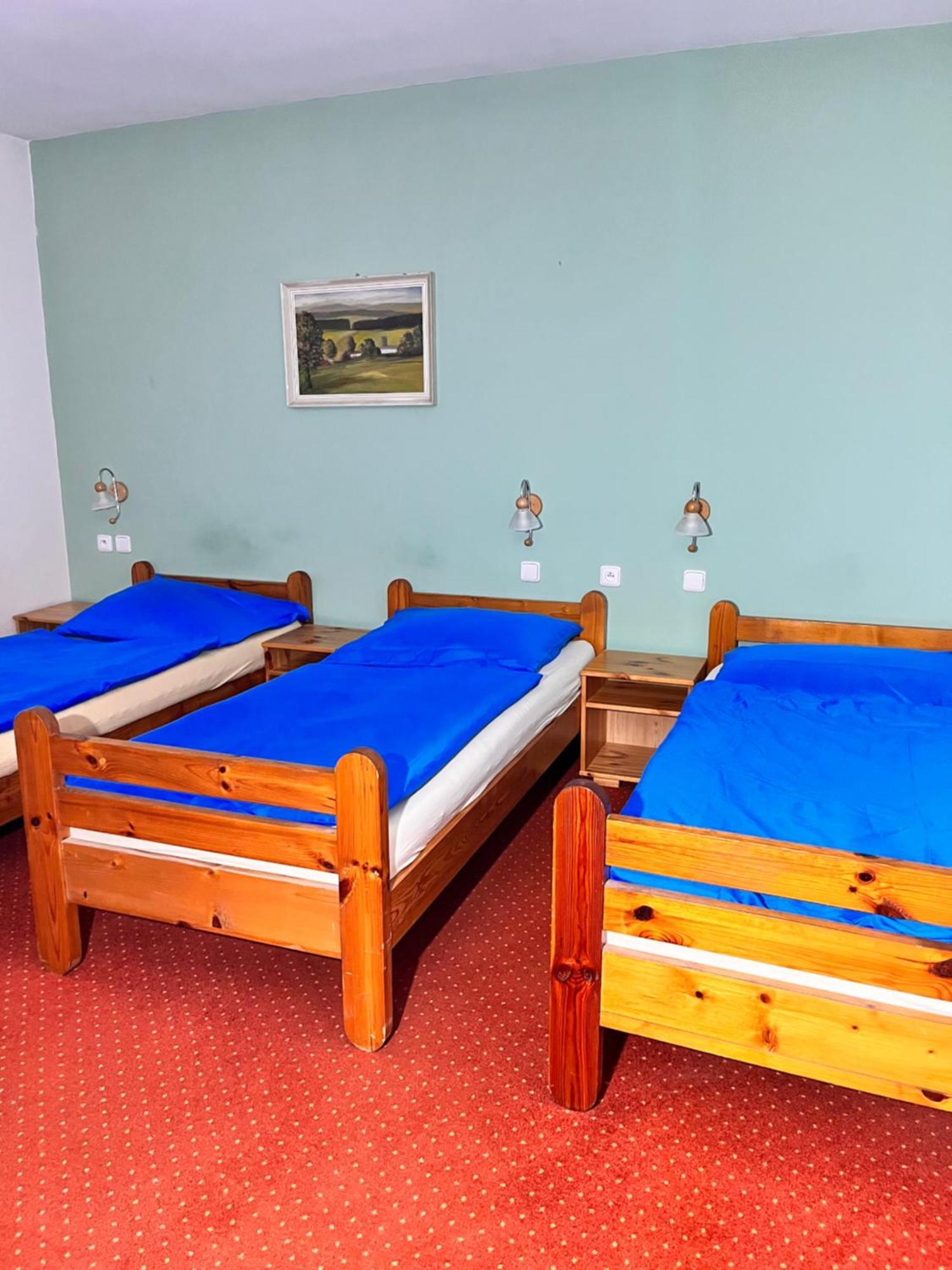 ホテル Vila Morava Liptovský Mikuláš エクステリア 写真