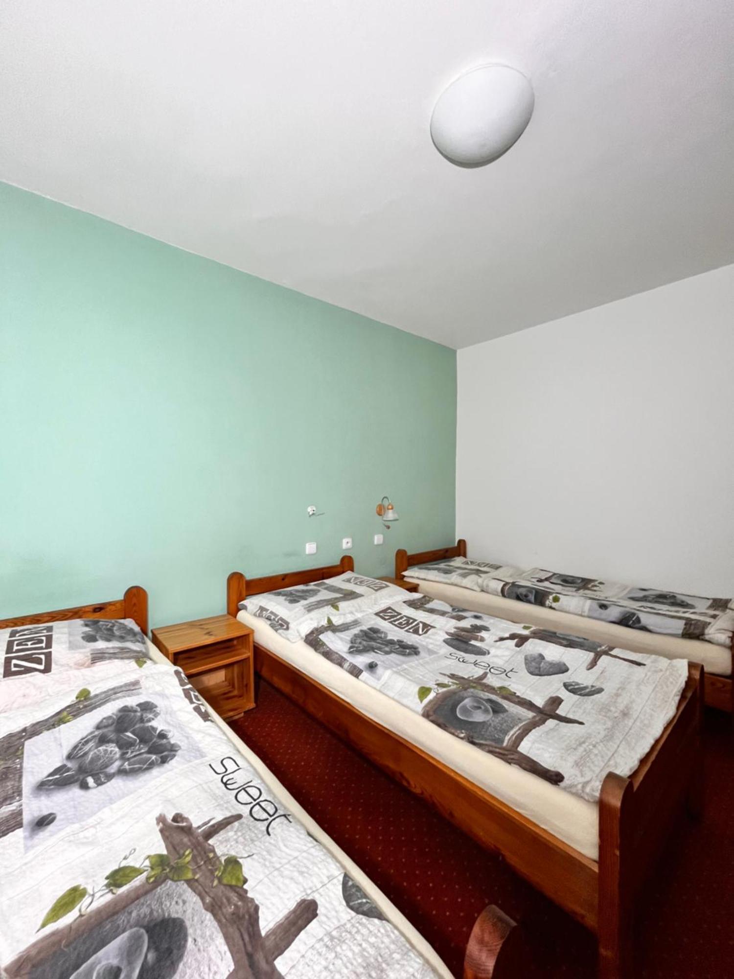 ホテル Vila Morava Liptovský Mikuláš エクステリア 写真