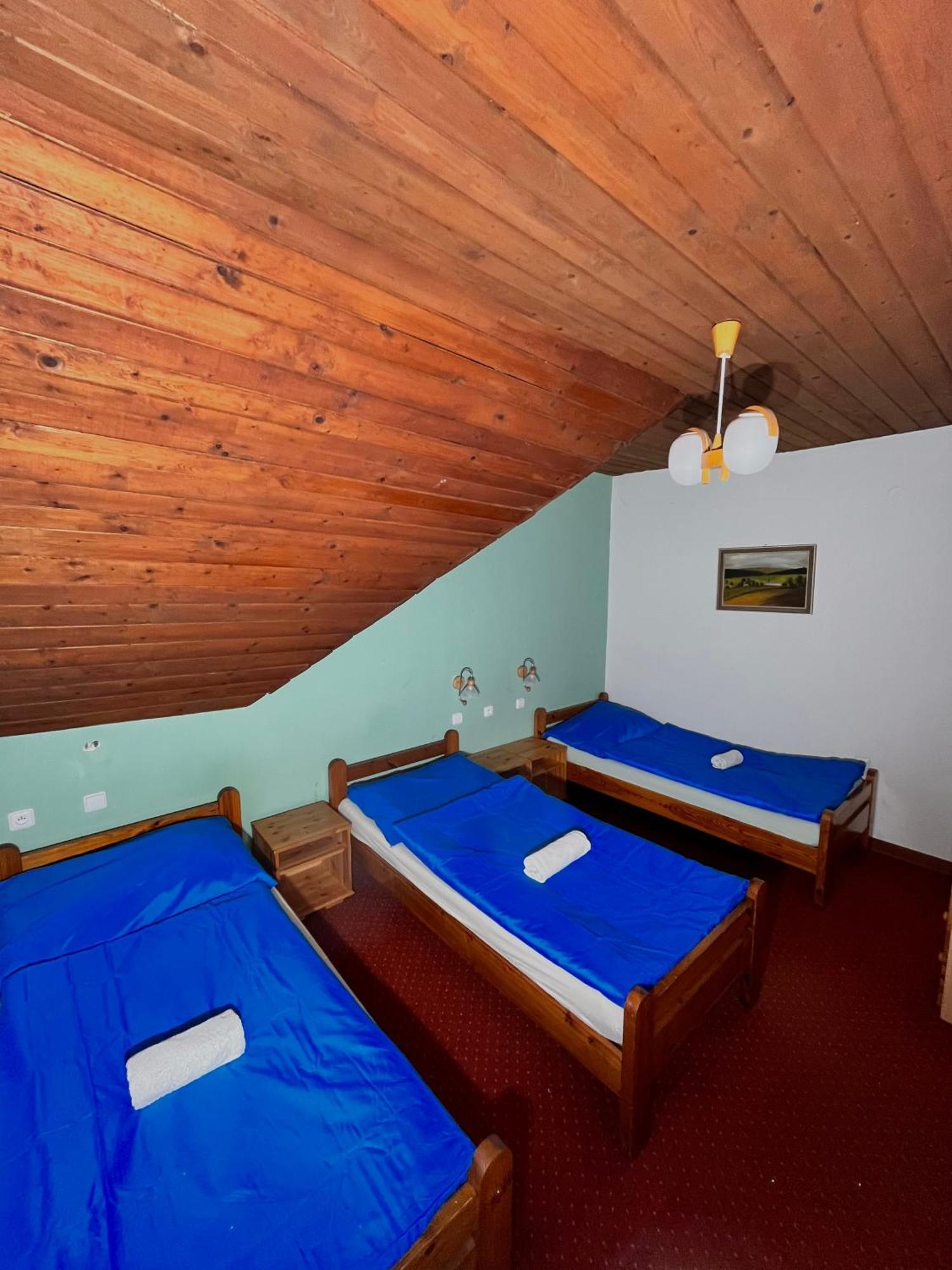 ホテル Vila Morava Liptovský Mikuláš エクステリア 写真