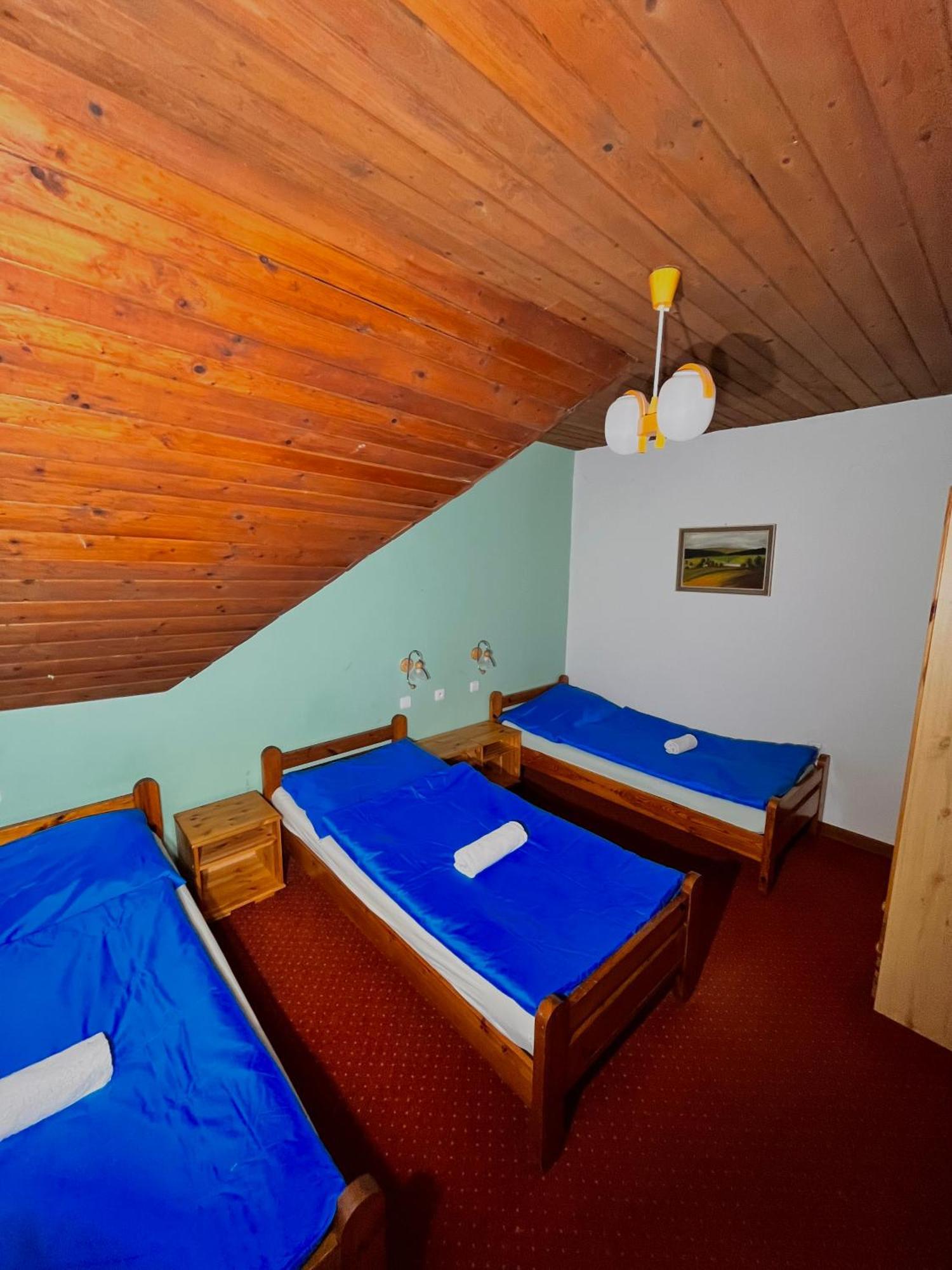 ホテル Vila Morava Liptovský Mikuláš エクステリア 写真
